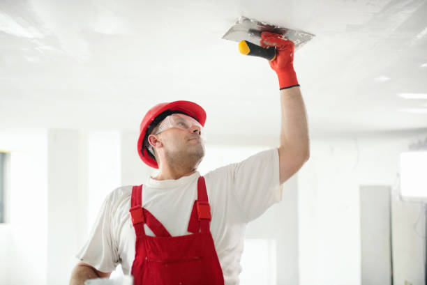 Best Commercial Painting  in Menomonie, WI